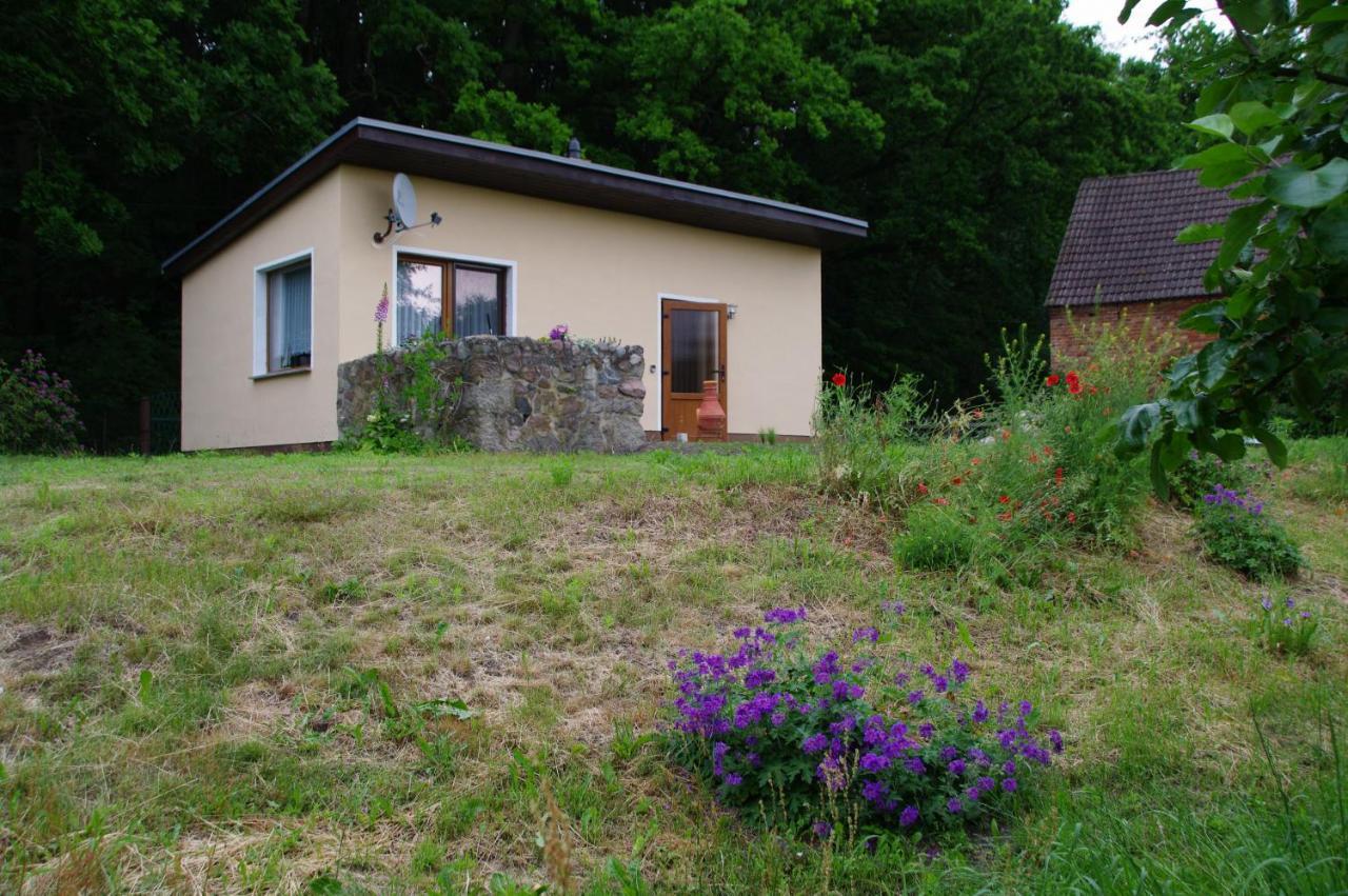 Bungalow Am Forsthaus Stagniess 于克里茨 外观 照片